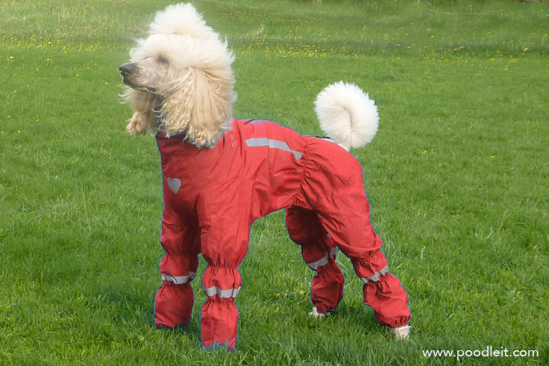 Red suit with hood down Red suit with hood down
