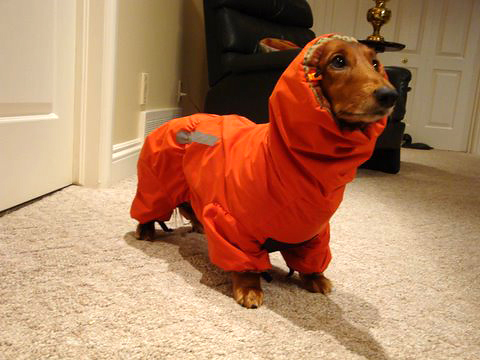 Made to measure, Ultimate Norway Rain/Snow Suit Made to measure, Ultimate Norway Rain/Snow Suit