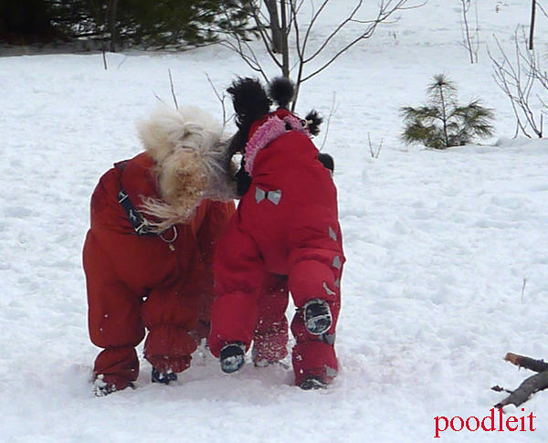 Made to measure, Ultimate Norway Rain/Snow Suit Made to measure, Ultimate Norway Rain/Snow Suit