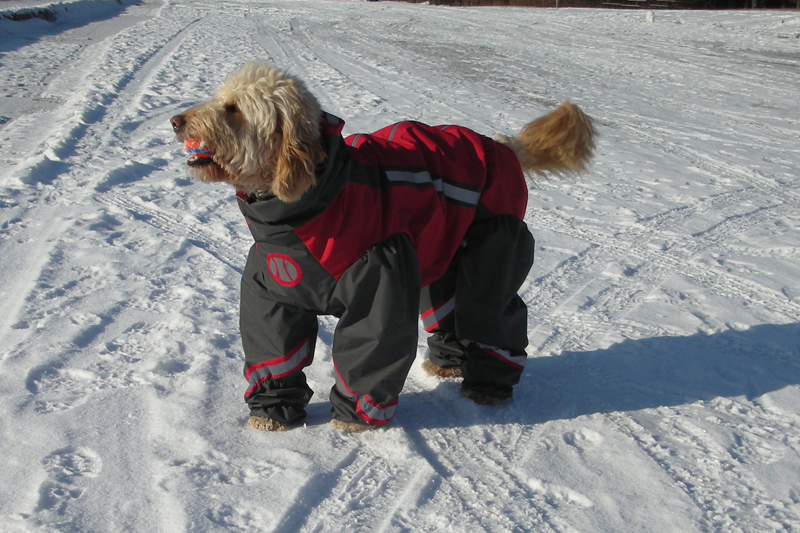 Made to measure, Ultimate Norway Rain/Snow Suit Made to measure, Ultimate Norway Rain/Snow Suit