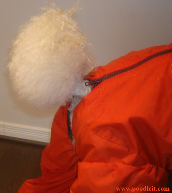 The Ultimate Norway Rain/snow Suit. The Ultimate Norway Rain/snow Suit.