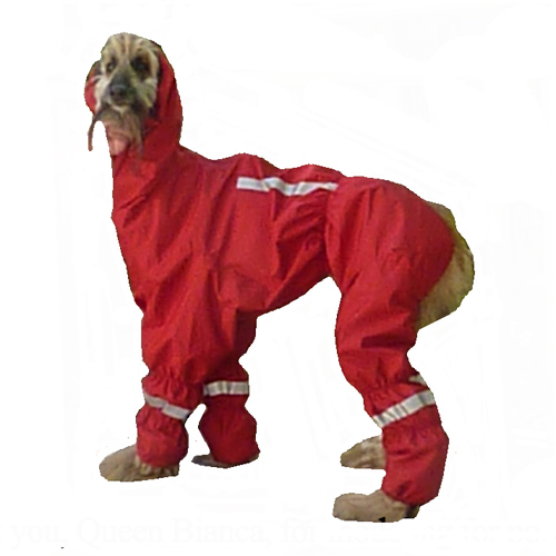 The Ultimate Norway Rain/snow Suit. The Ultimate Norway Rain/snow Suit.
