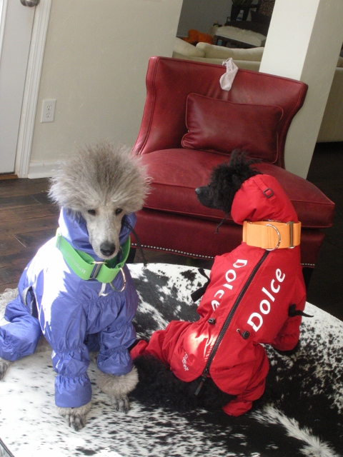 Made to measure, Ultimate Norway Rain/Snow Suit Made to measure, Ultimate Norway Rain/Snow Suit