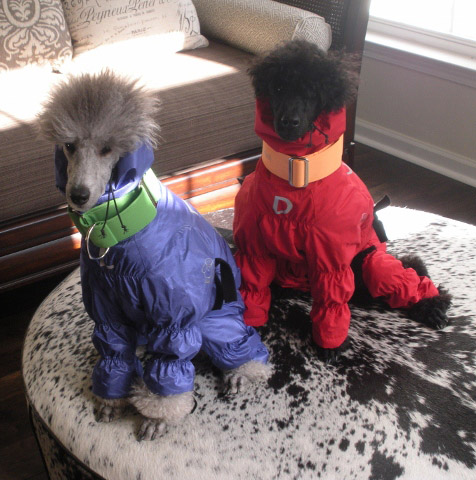 Made to measure, Ultimate Norway Rain/Snow Suit Made to measure, Ultimate Norway Rain/Snow Suit