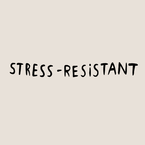 Временное тату Stress Resistant