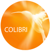 Ferramenta Ho'oponopono