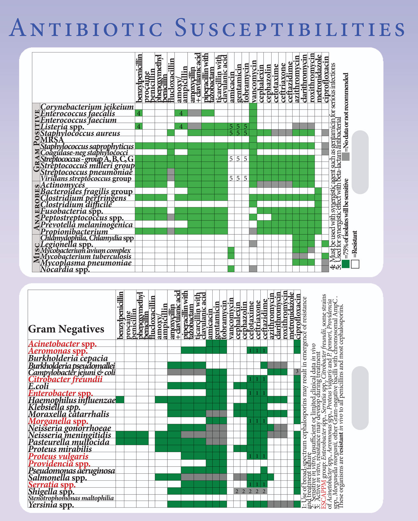 medical medicine reference card Antibiotic Susceptibility Tables
